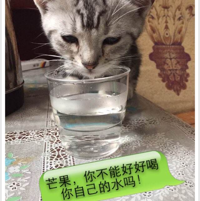 高仿计算机等级证书多少钱